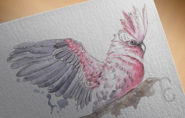 Тропические птицы акварель