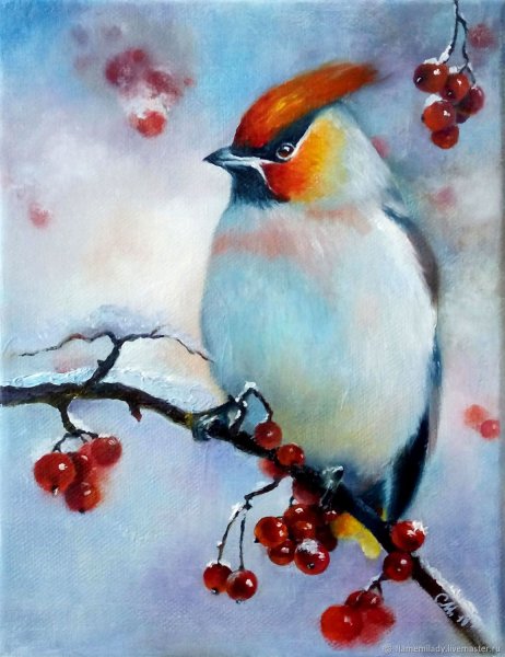 Свиристель картина живопись акварель