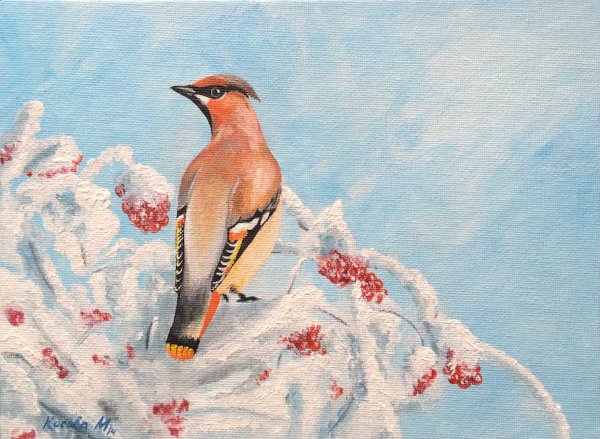 Свиристель пастелью