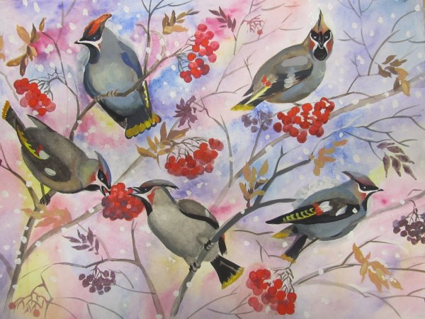 Свиристель гуашь