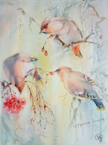 Ольга Цурина акварель птички