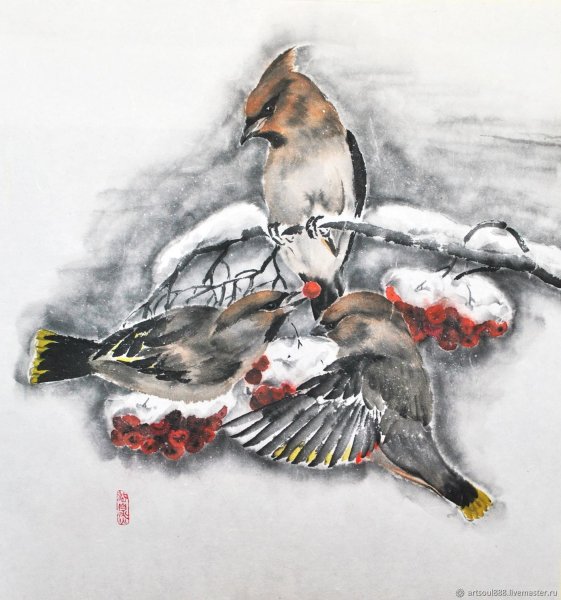 Свиристель тату