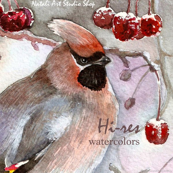 Свиристели акварелью