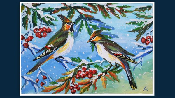 Свиристель птица зимой