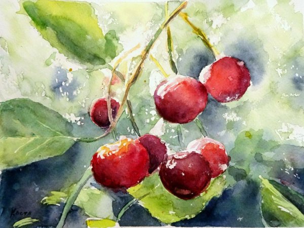 Вишня акварелью
