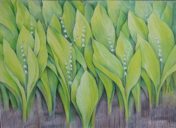 Ландыши цветными карандашами