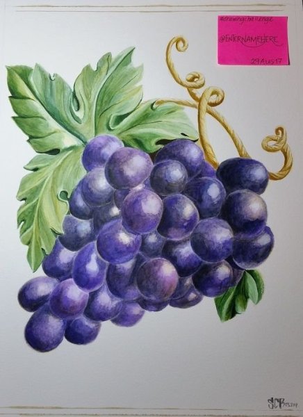 Кисть винограда акварелью