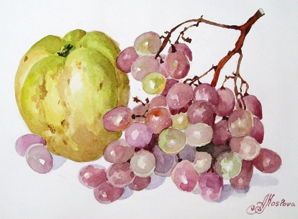 Акварель натюрморт Winograd