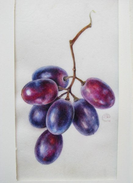 Фрукты цветными карандашами