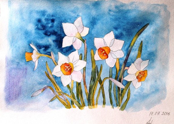 Нарциссы гуашью