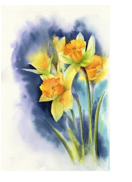 Акварель растения Нарцисс