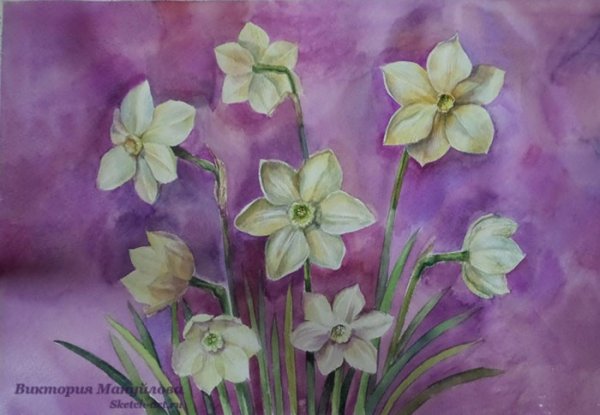 Нарцисс акварелью поэтапно для начинающих
