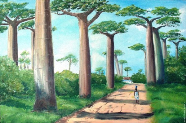 Мадагаскар иллюстрация остров