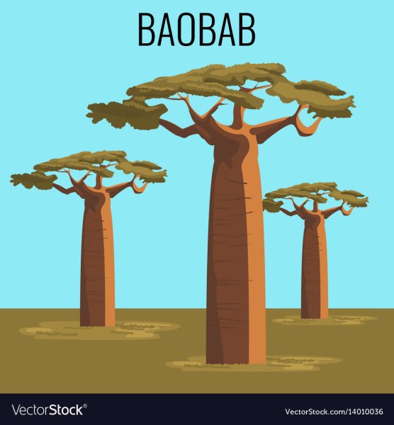 Баобаб рисунок для детей