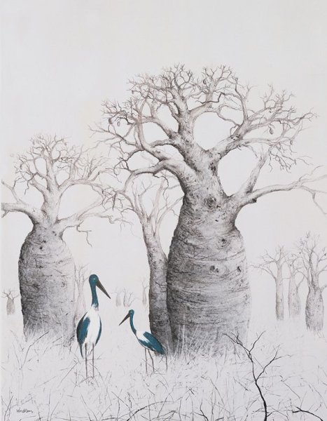 Дерево логотип баобаб