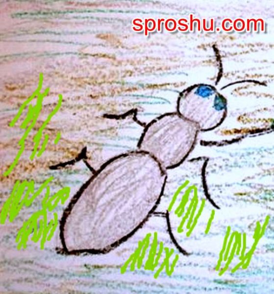 Рисование муровейстаршая группа