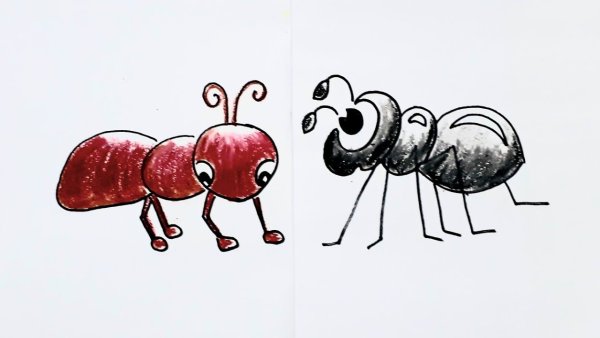 Муравей тащит