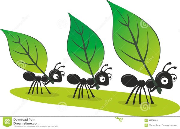 Муравьишка который спешил домой