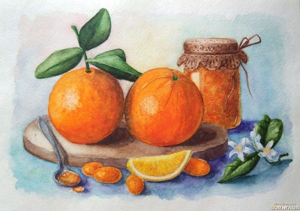 Натюрморт с апельсинами