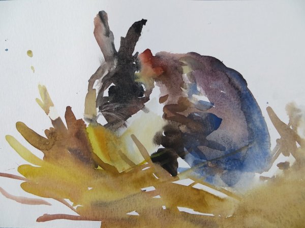 Этюды животных