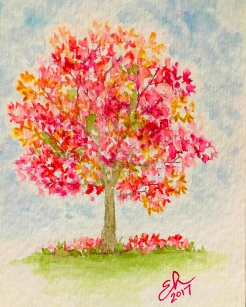 Осеннее дерево акварелью