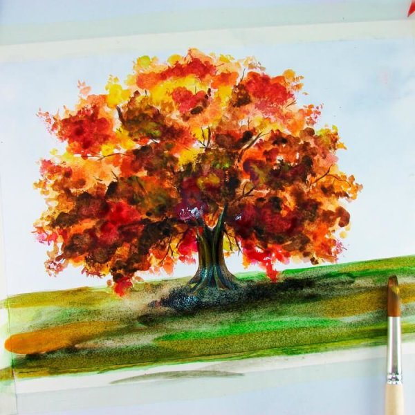 Осеннее дерево акварелью