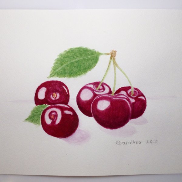 Вишня рисунок акварелью