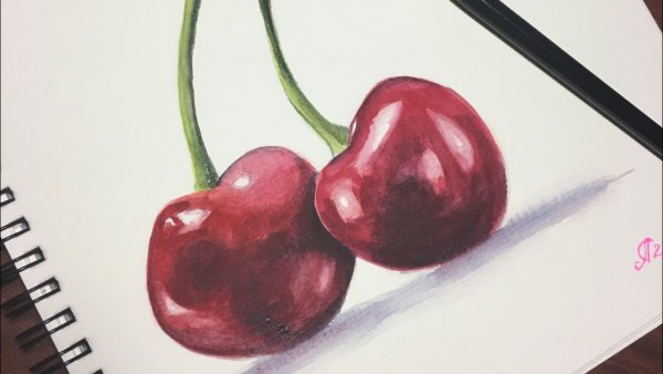 Скетчинг вишня акварель
