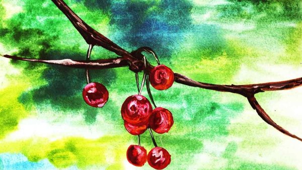 Ягода вишни рисование