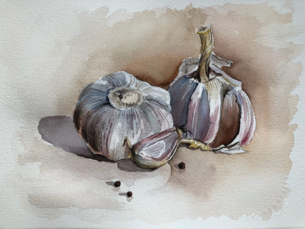 Чеснок акварелью