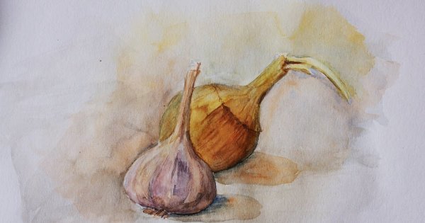 Чеснок акварелью