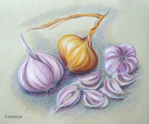 Чеснок цветными карандашами