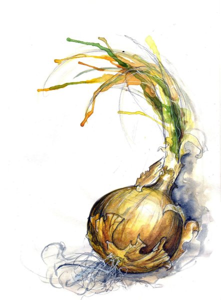 Фрукты и овощи акварелью