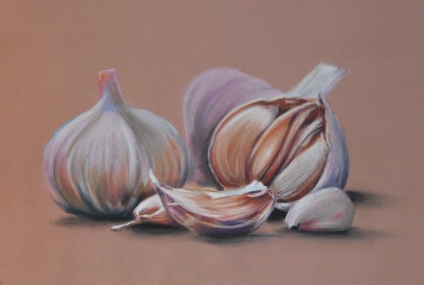 Чеснок живопись