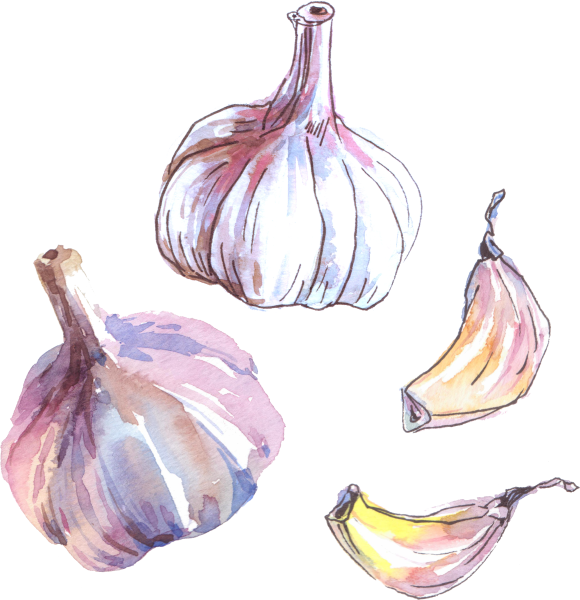 Лук акварелью