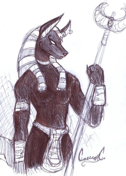 Анубис любовь