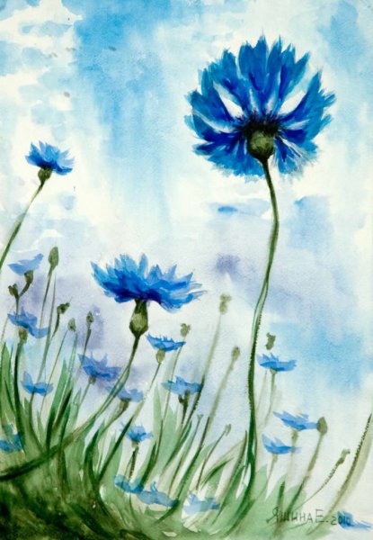 Художник Елена Кацевал. Васильки