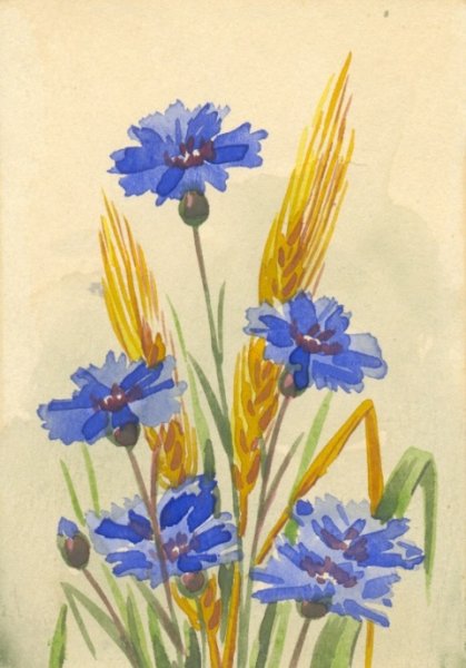 Васильки гуашью
