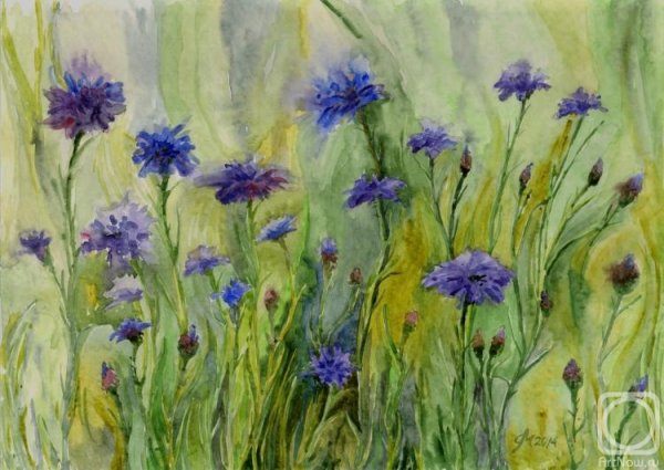 Васильки Андрияка