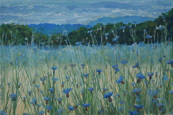 Васильки гуашью