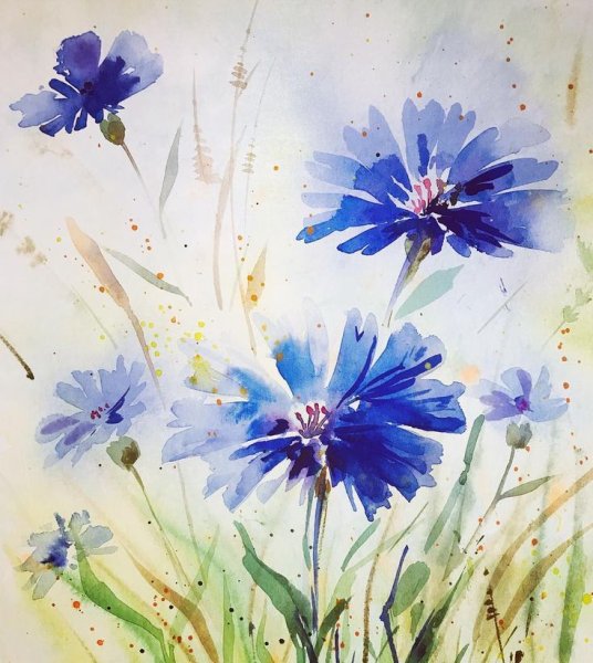 Васильки акварелью