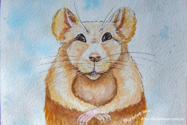 Рисунок крысы гуашью