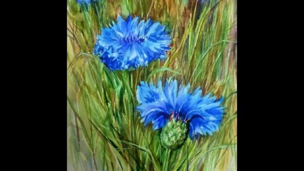 Василек гуашью