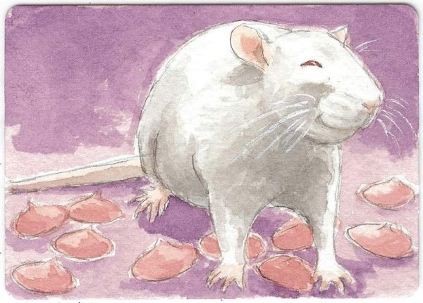 Белая крыса арт