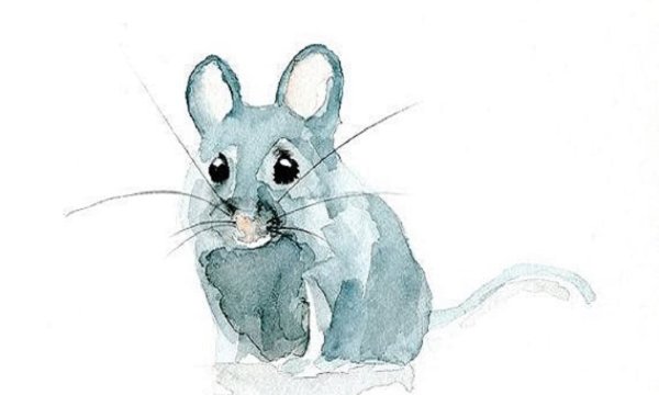 Мышь рисунок акварелью