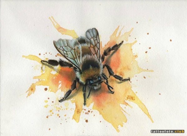 Акварельная пчела тату