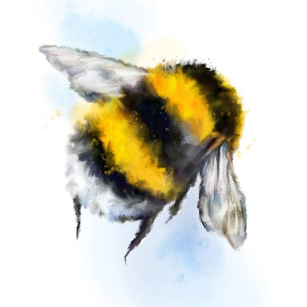 Пчела акварель
