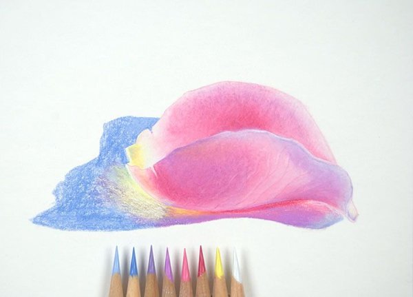 Техника рисования цветными карандашами