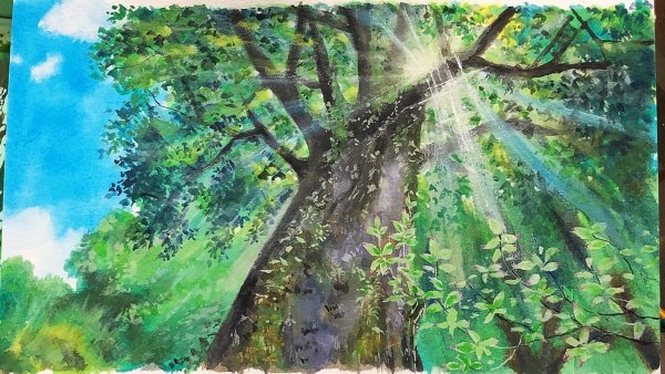 Давид Байли декоративный натюрморт