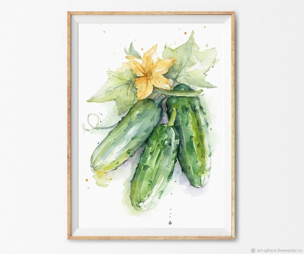 Кабачок рисунок акварелью